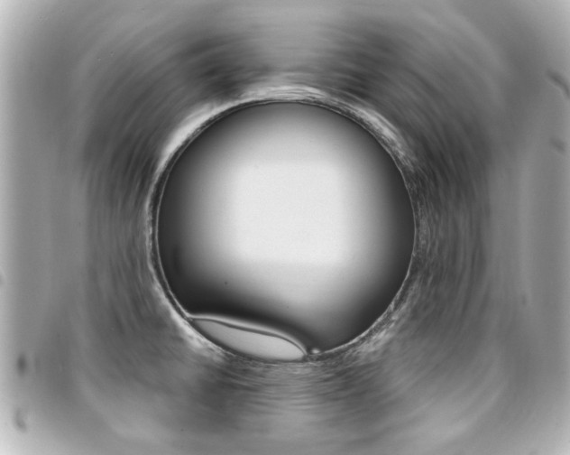 X0000094441430200711081016