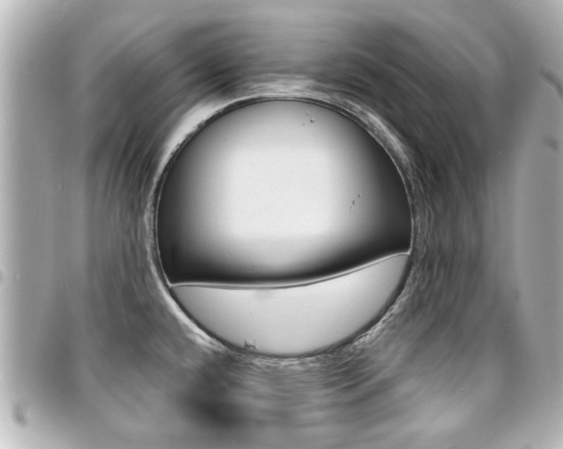 X0000094441432200711081016