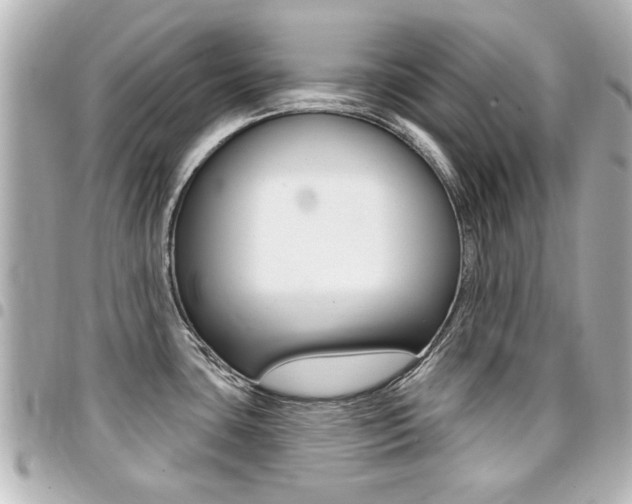 X0000094441435200711081016