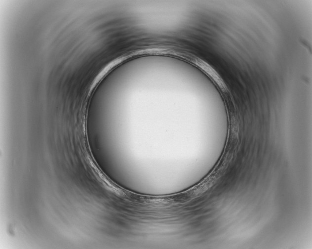 X0000094441436200711081016