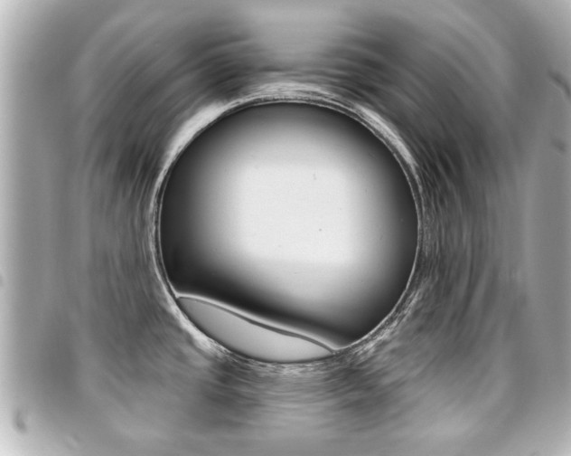X0000094441437200711081016