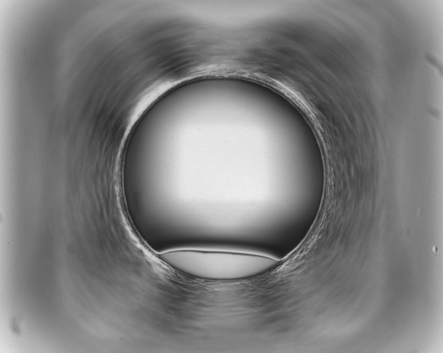 X0000094441440200711081016