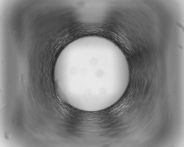 X0000094441441200711081015