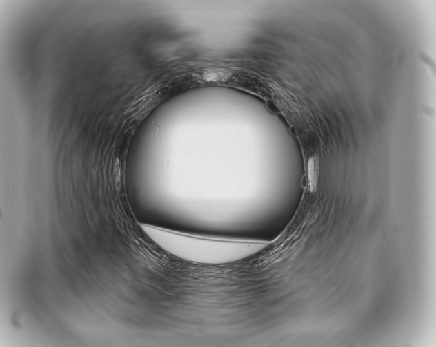 X0000094441443200711081015