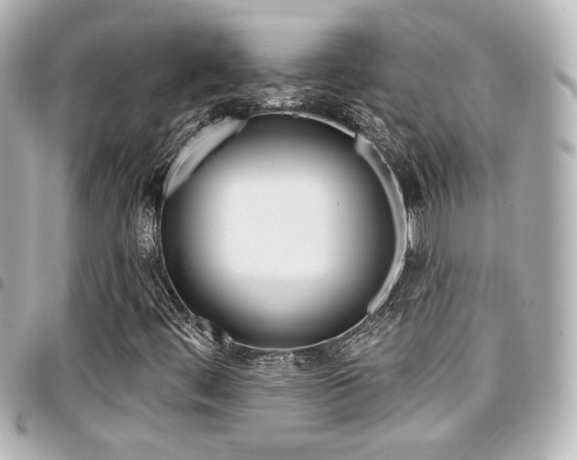 X0000094441444200711081015
