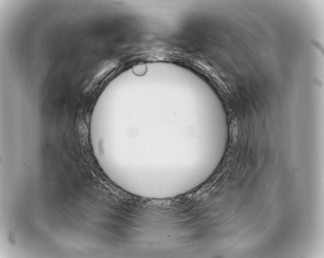 X0000094441446200711081015