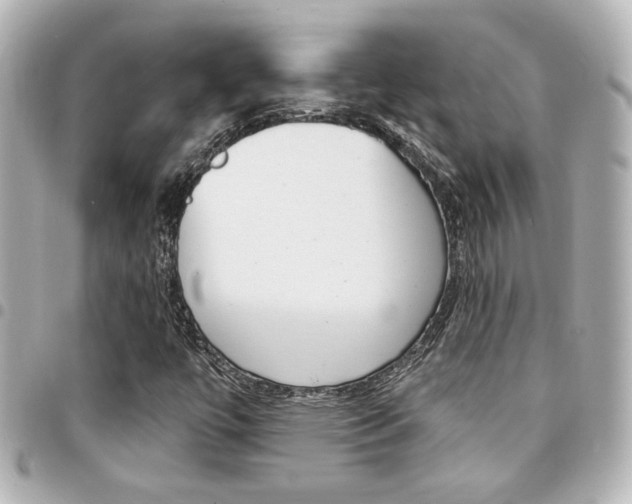 X0000094441447200711081015