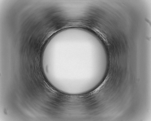 X0000094441449200711081015
