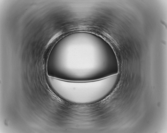 X0000094441450200711081015