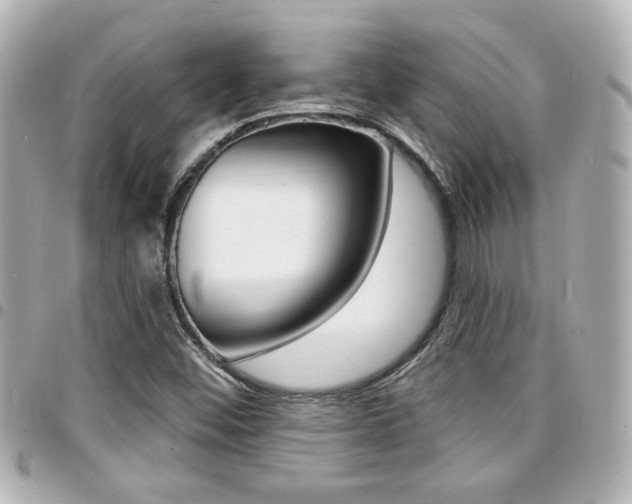 X0000094441452200711081015