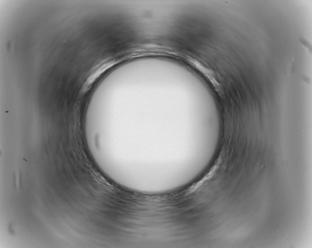 X0000094441453200711081015