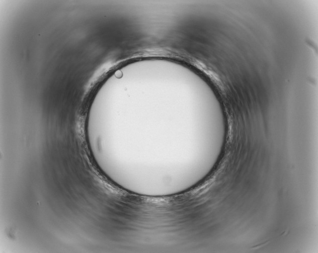 X0000094441454200711081015