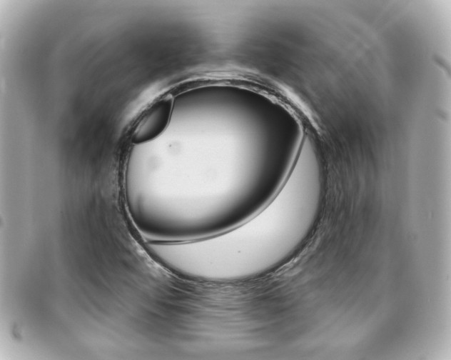 X0000094441456200711081015