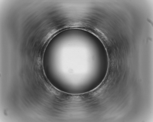 X0000094441457200711081015
