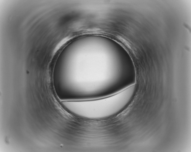 X0000094441458200711081015