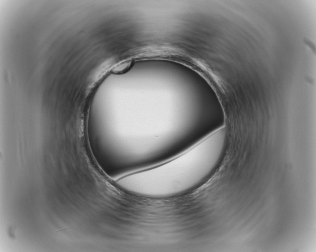 X0000094441459200711081015