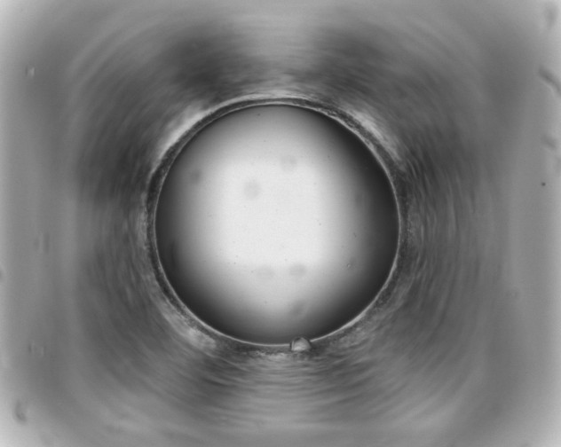 X0000094441460200711081015