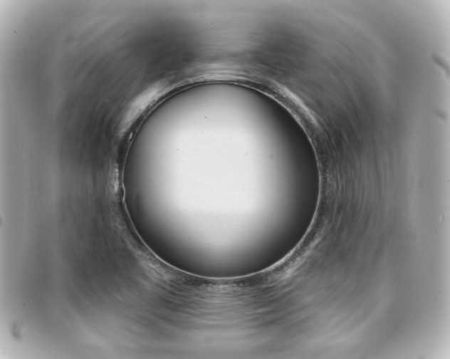 X0000094441461200711081015