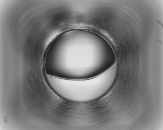 X0000094441463200711081015