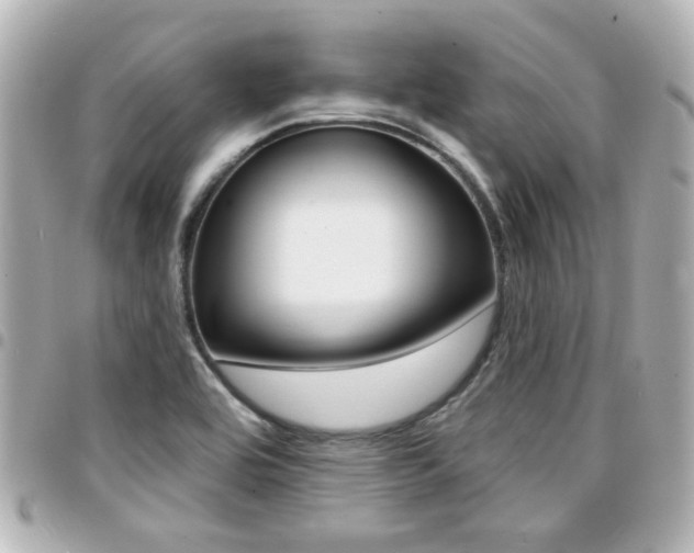 X0000094441464200711081015