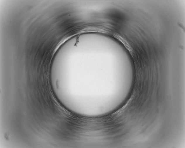 X0000094441465200711081015