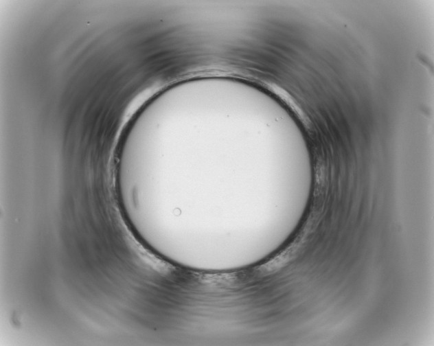 X0000094441466200711081015