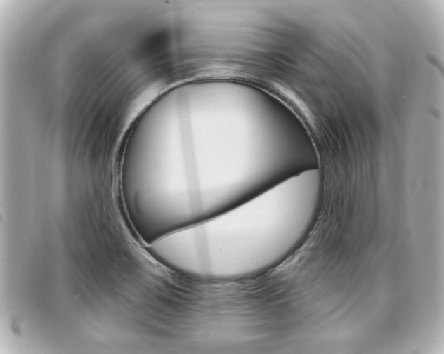 X0000094441467200711081015