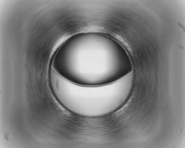 X0000094441469200711081015