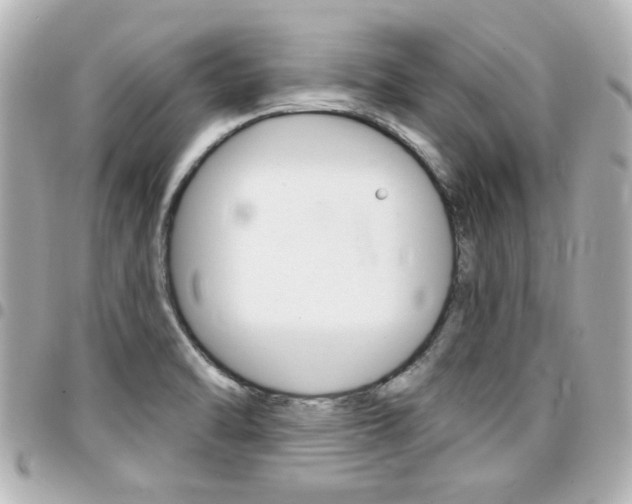 X0000094441470200711081015
