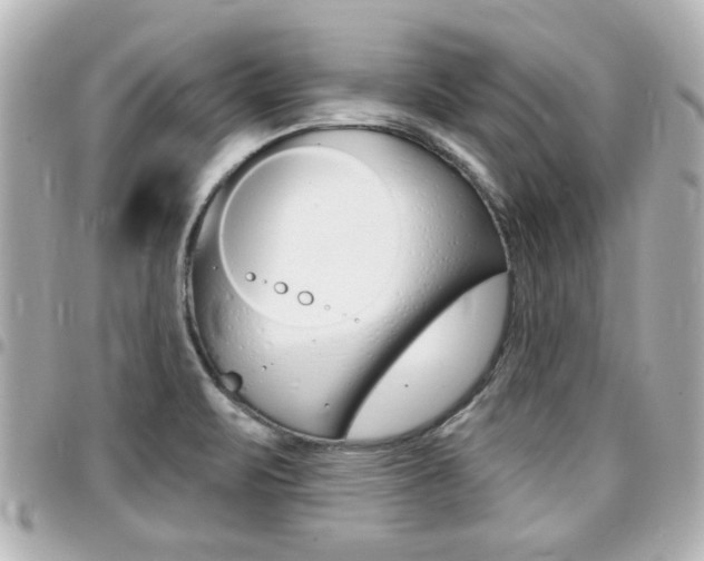 X0000094441471200711081015
