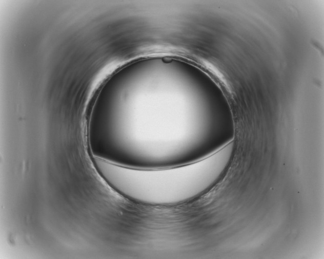 X0000094441472200711081015