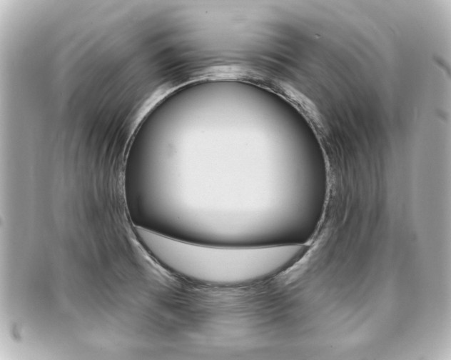 X0000094441473200711081015
