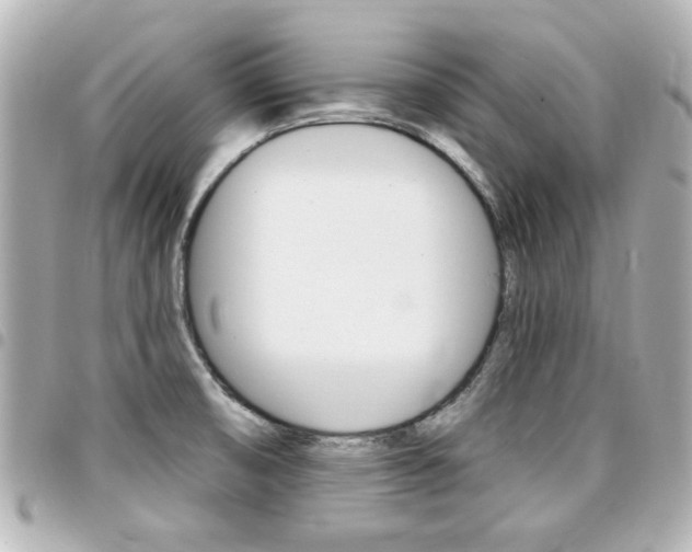 X0000094441474200711081015