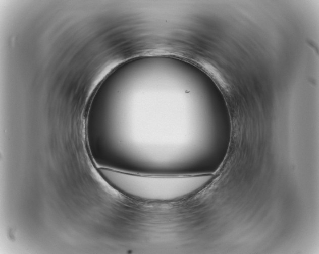 X0000094441476200711081015