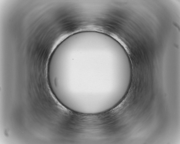 X0000094441477200711081015