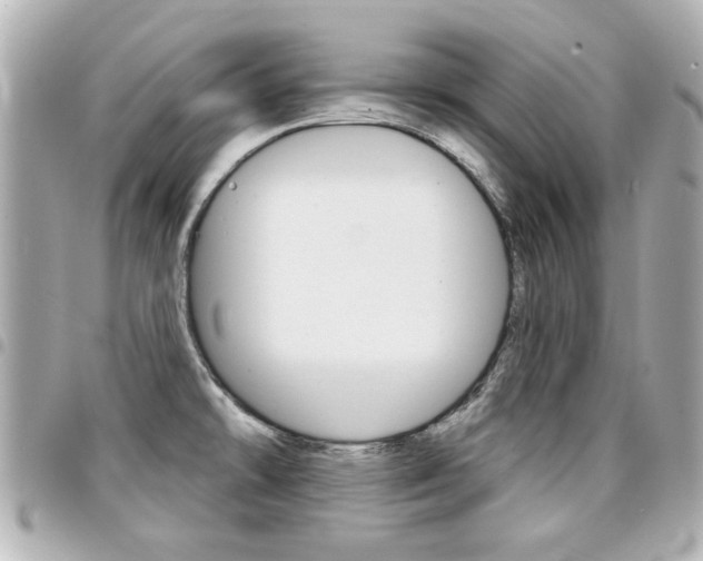 X0000094441478200711081015