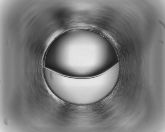 X0000094441479200711081015