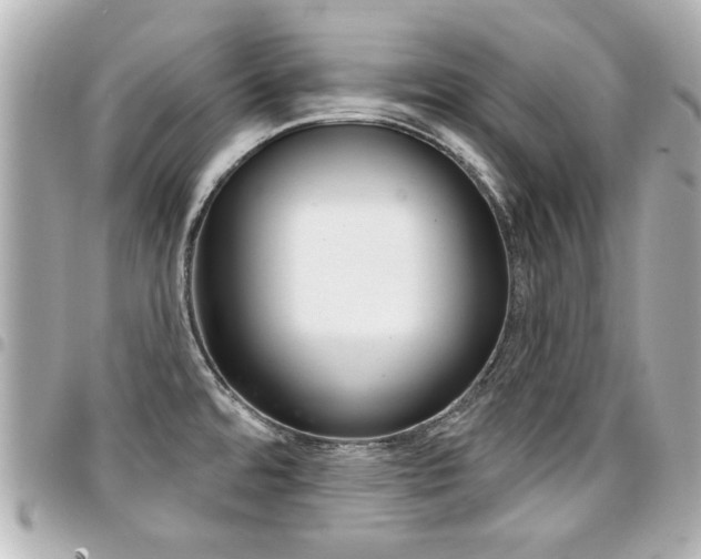 X0000094441480200711081015
