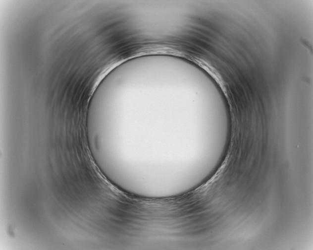 X0000094441481200711081015