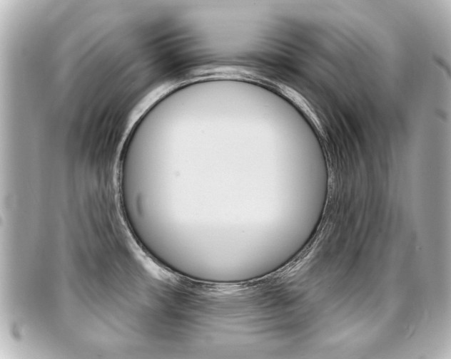 X0000094441482200711081015