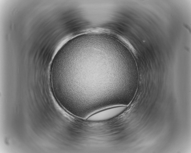 X0000094441483200711081015