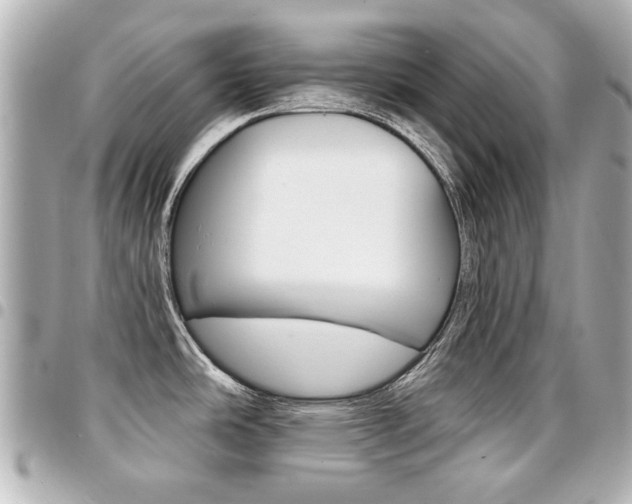 X0000094441486200711081015
