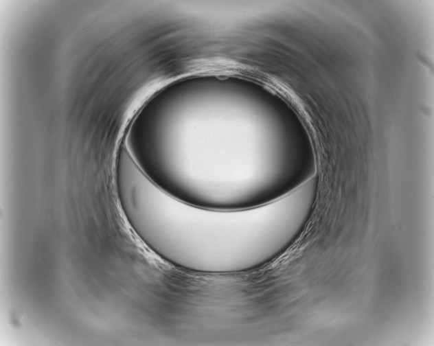 X0000094441488200711081015