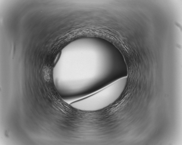 X0000094441490200711081014