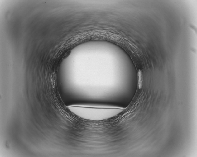 X0000094441491200711081014