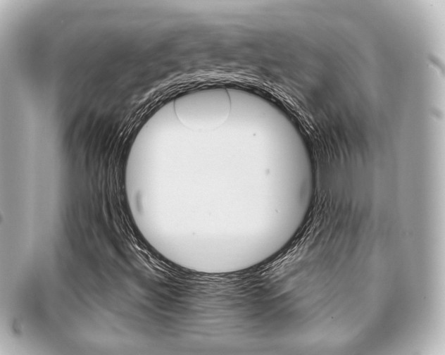 X0000094441492200711081014