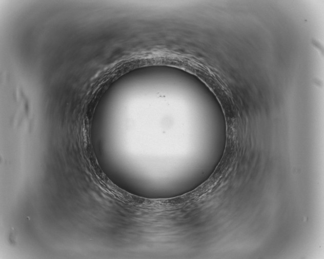 X0000094441493200711081014