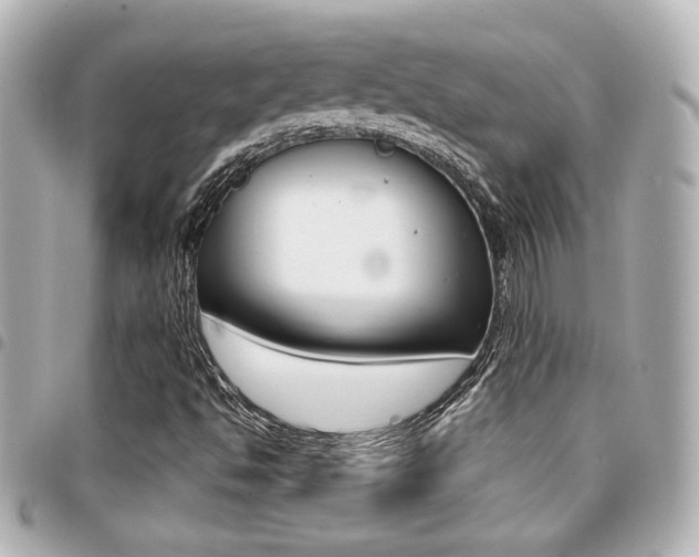 X0000094441494200711081014