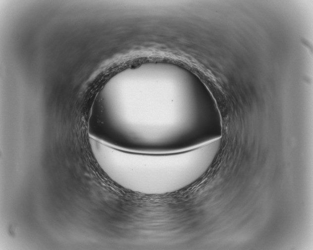 X0000094441495200711081014