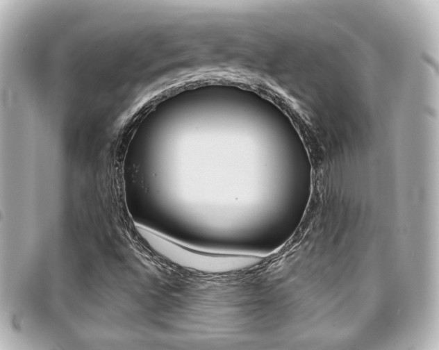 X0000094441496200711081014